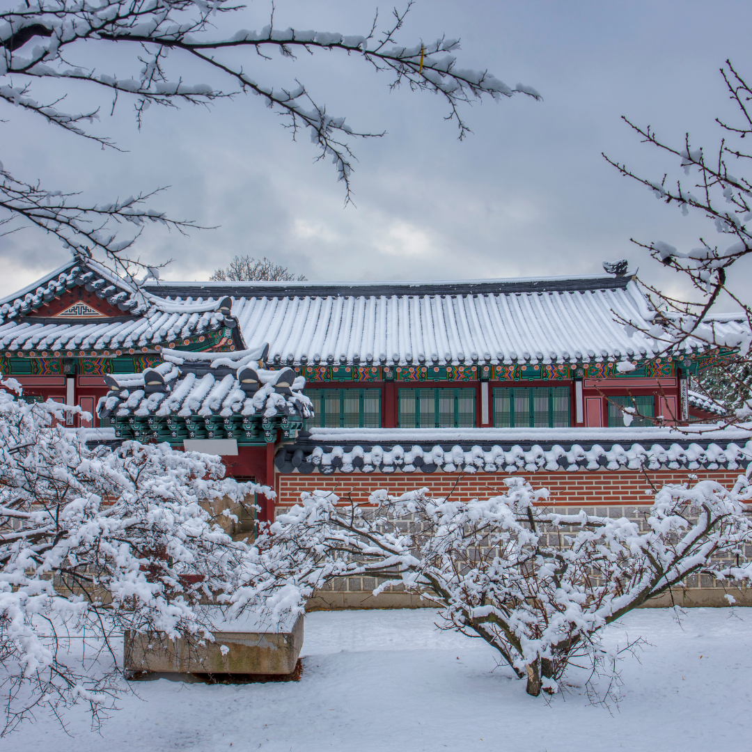 WINTER KOREA TAHUN BARU 6D4N